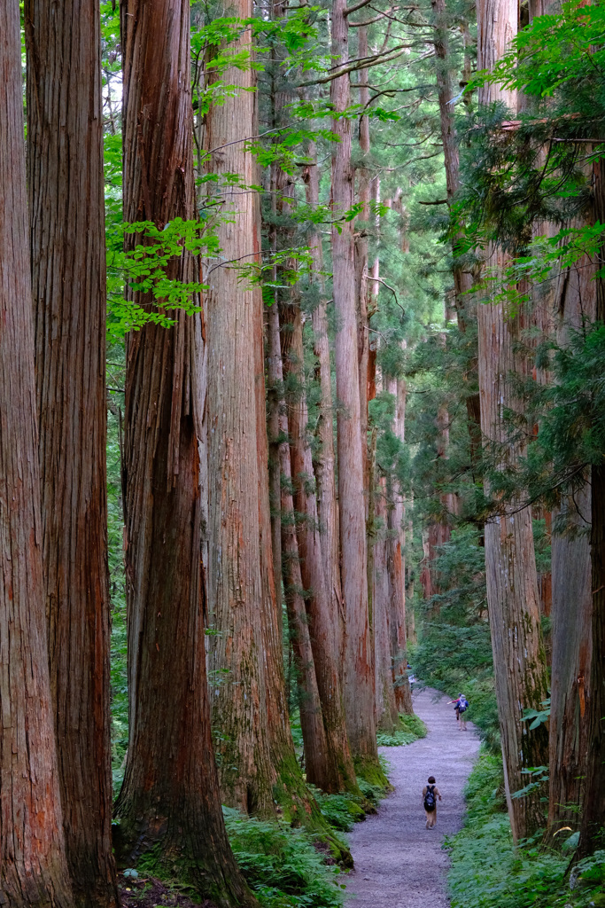 79E1DB8D-439D-4E28-A283-F38BFB7D0847