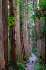 79E1DB8D-439D-4E28-A283-F38BFB7D0847