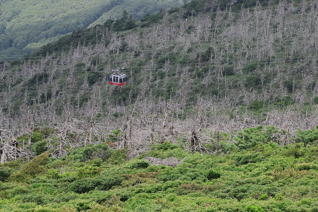 蔵王涼景