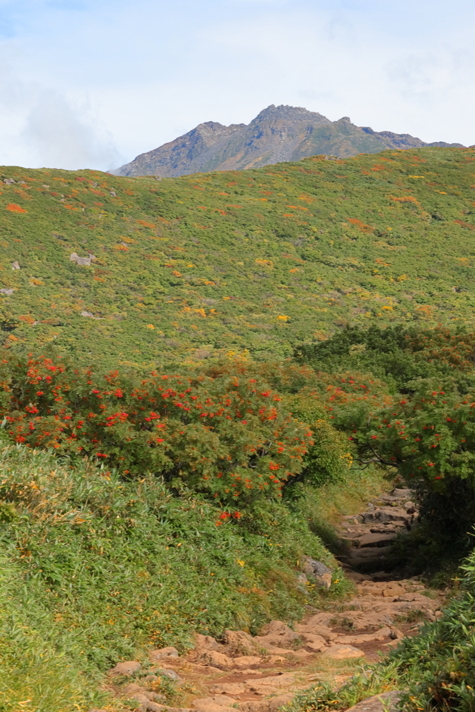 トンネルの先の鳥海山