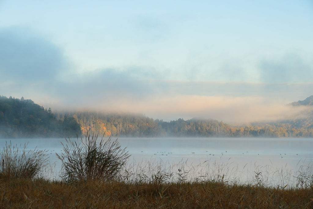 朝靄の尾瀬沼
