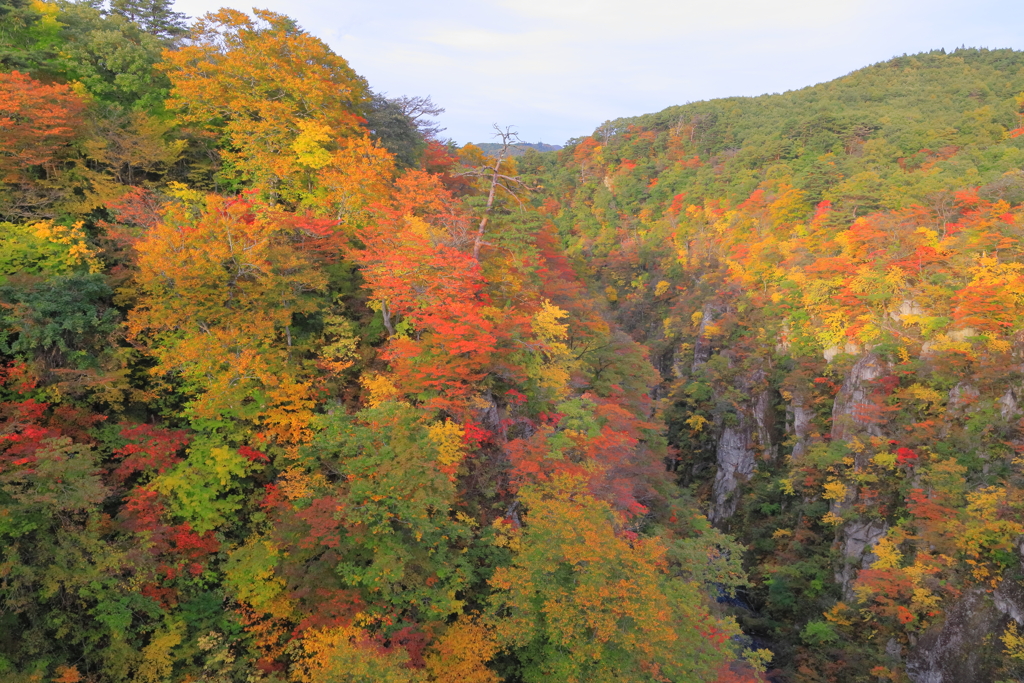 鳴子峡の紅葉