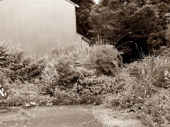 尾小屋町　旧尾小屋駅前