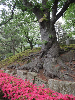 芦城公園