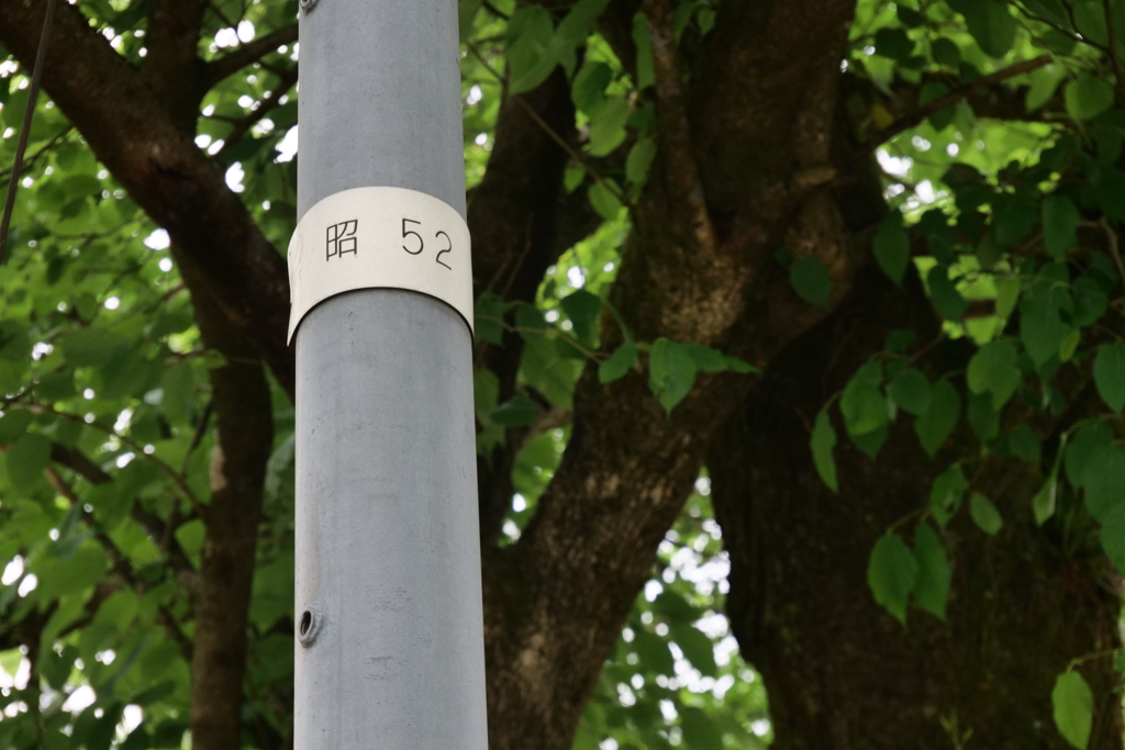 尾小屋町　電柱