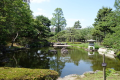 2020-06-20_09-54-56_000