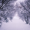 御在所岳　雪のトンネル