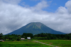 田園と大山
