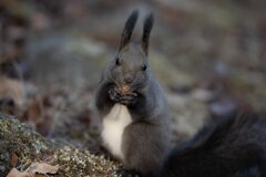 オメェも食うか？