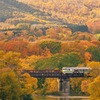 紅葉電車