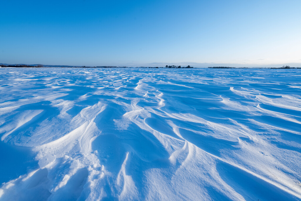 雪の模様