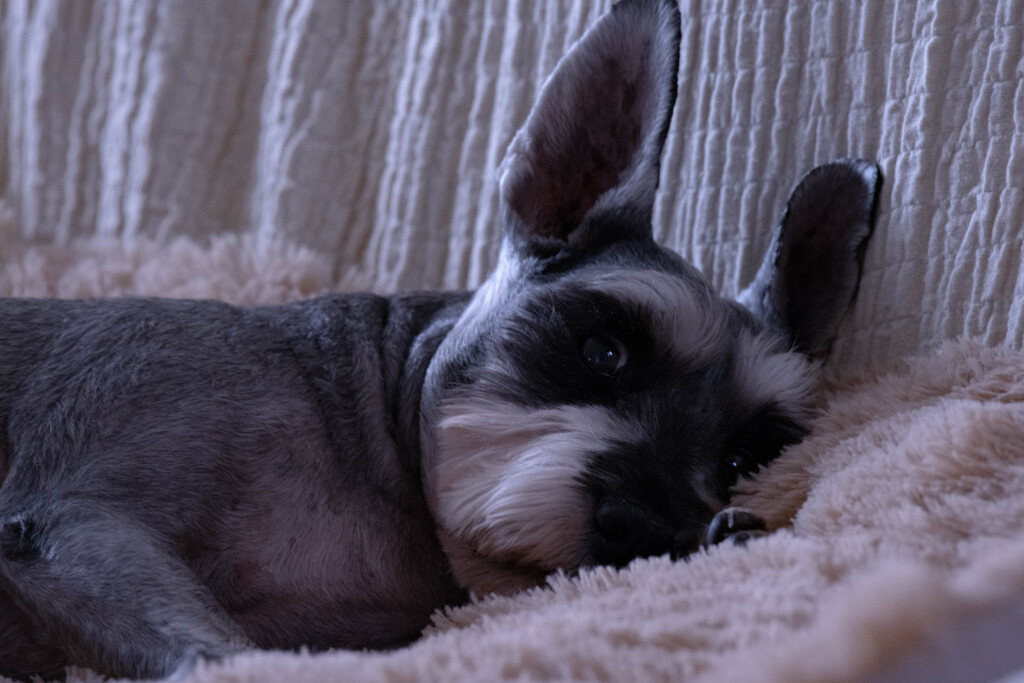 ミタナァァァッ！