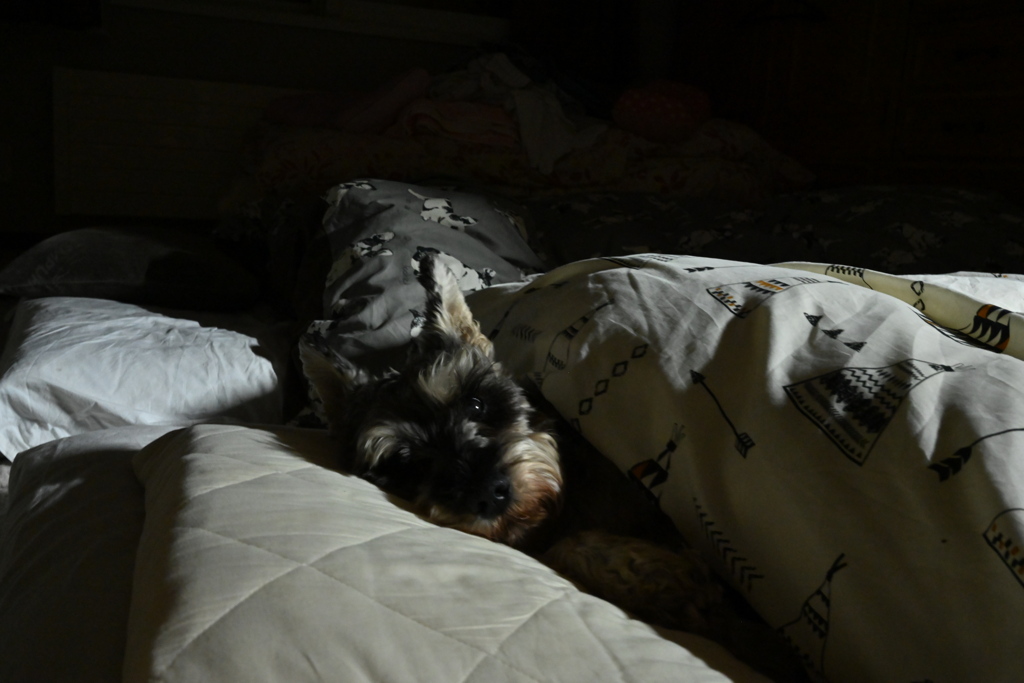 スティーブ・ジョブズってこんな雰囲気醸し出してなかった？