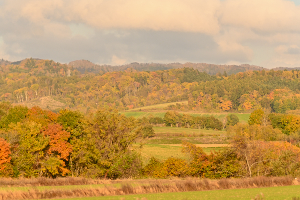 北海道の秋は深まるばかり
