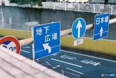 標識たち