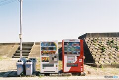 家族写真みたいな