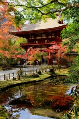 秋の室生寺