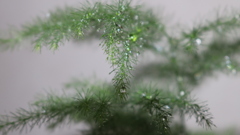 リベンジ②