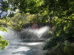 井の頭公園でふ
