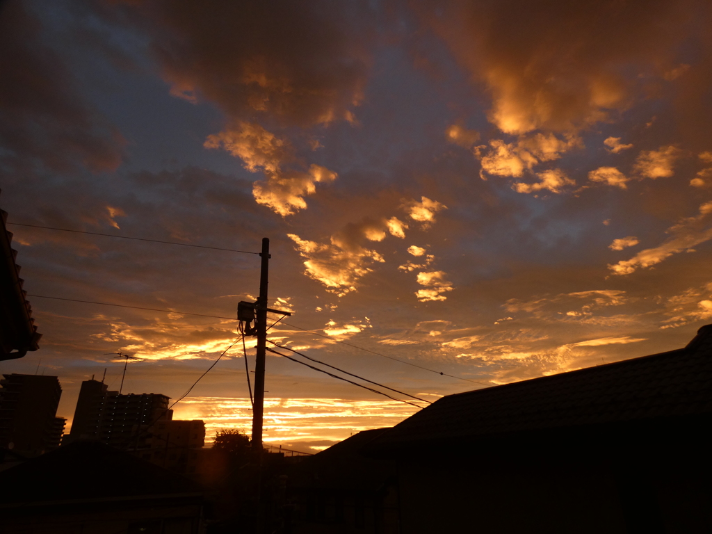 今日の朝焼け②