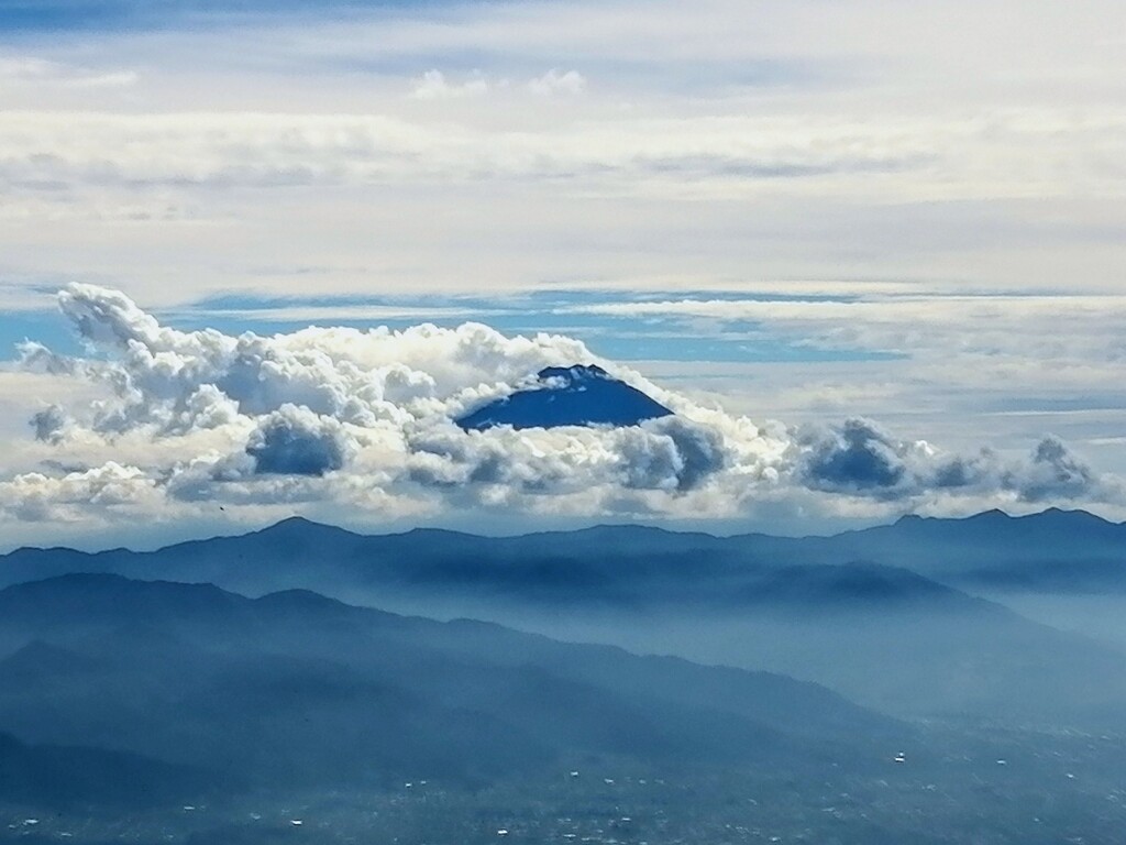 富士山はやっぱ見る物