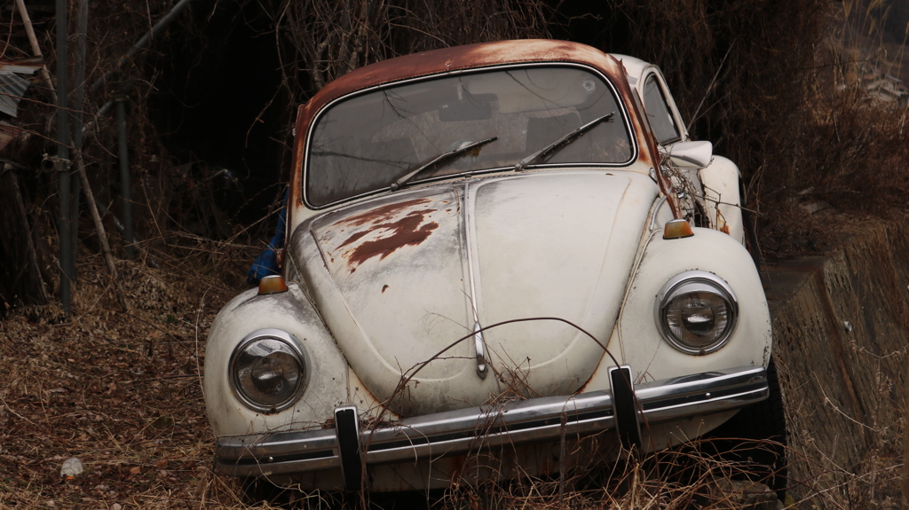 朽ちたVolks Wagen