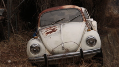 朽ちたVolks Wagen