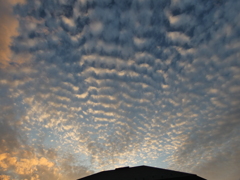 秋の空