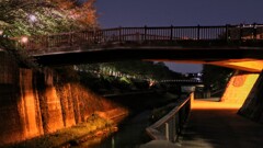 夜の川