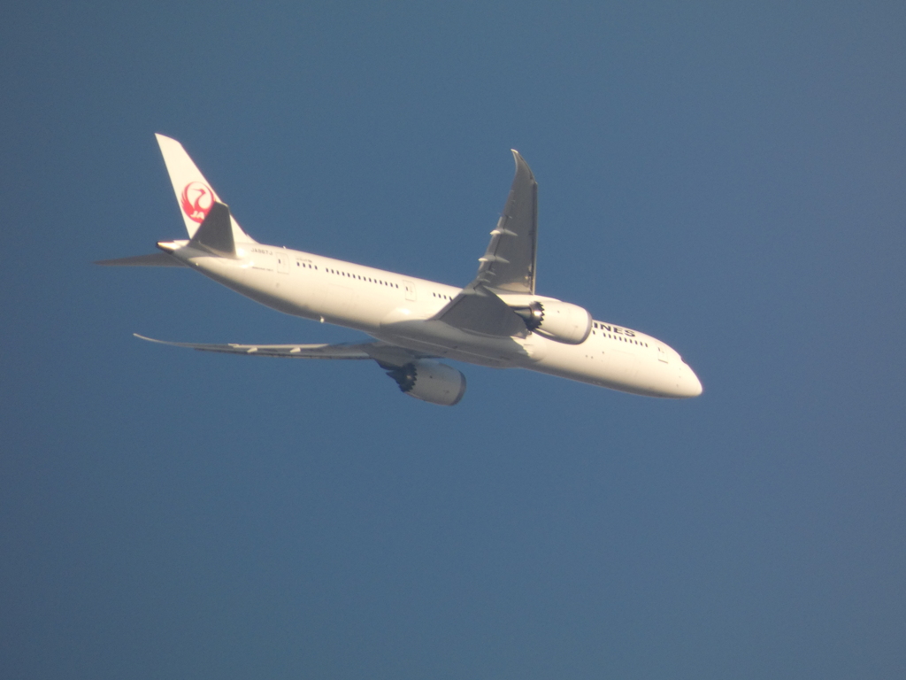 都心ルートです