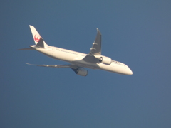 都心ルートです