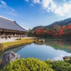 天龍寺の紅葉