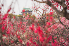 大阪城