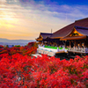 夕方の清水寺