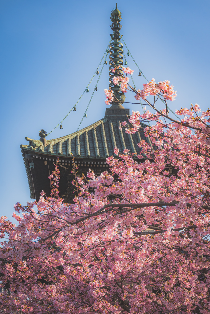 清涼寺②