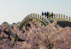 桜橋を渡って