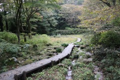 植物園