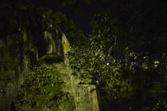夜の公園