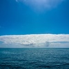 机雲。