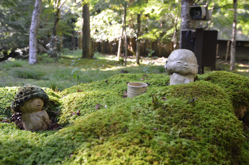 静かな京都　三千院