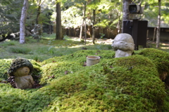 静かな京都　三千院