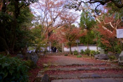 京都  浄住寺  紅葉