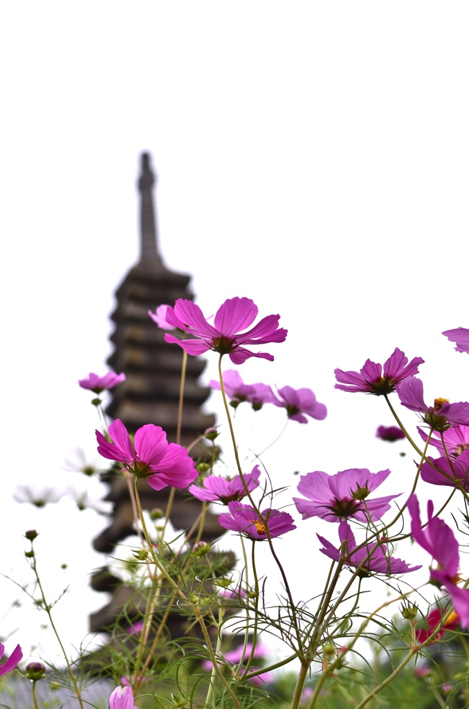 般若寺