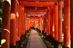 鳥居だらけ