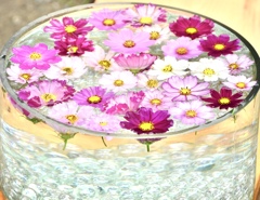 浮き花