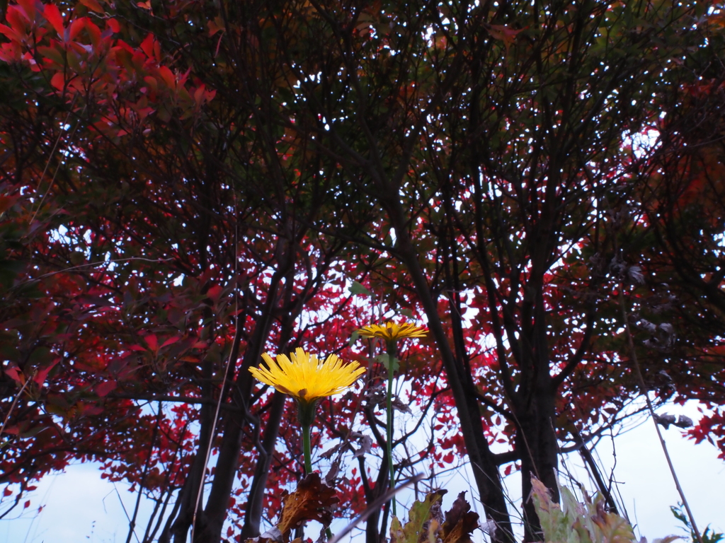 20201108