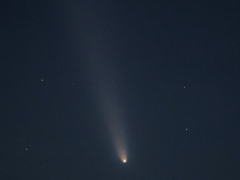 紫金山・アトラス彗星