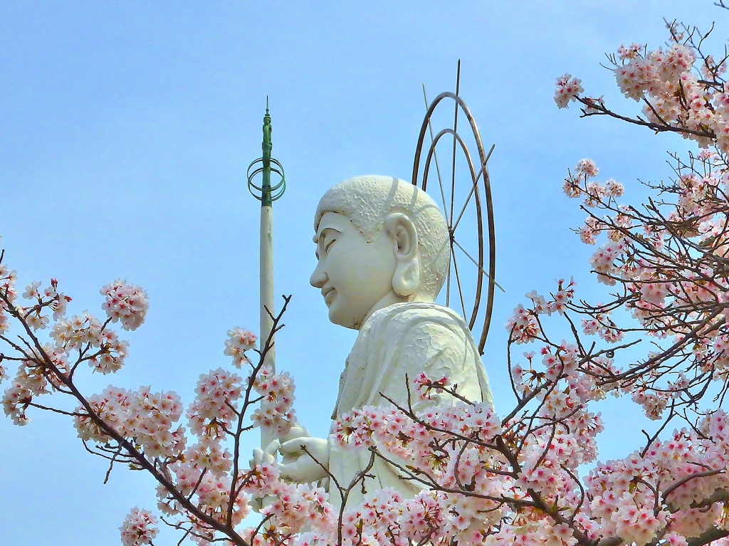かつらぎ公園の桜と平和祈念像(高さ18m)