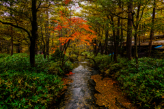 Rainy Day in Kamikochi