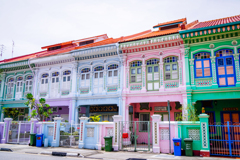 The Peranakan